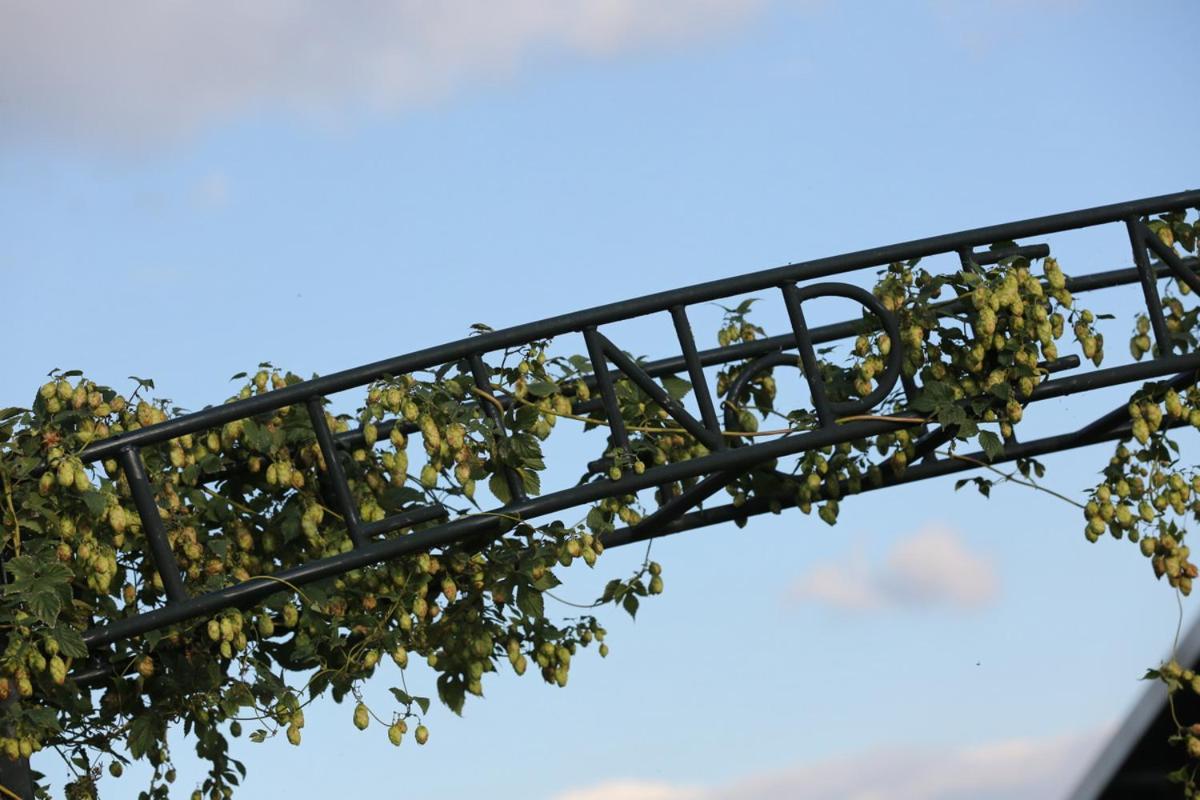 Tienhoven De Lindenhof Bed & Breakfast エクステリア 写真